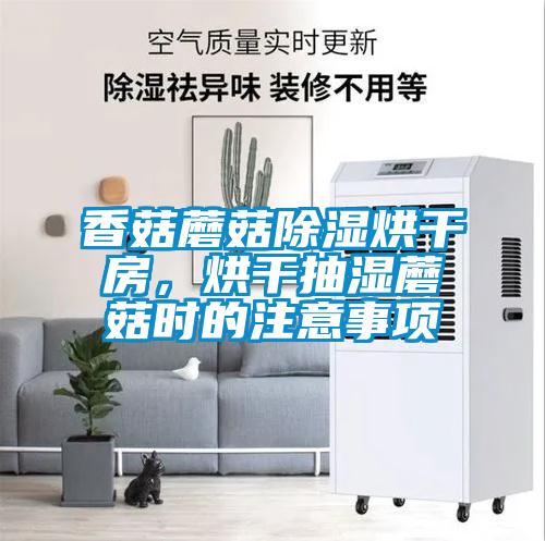 香菇蘑菇除濕烘干房，烘干抽濕蘑菇時的注意事項