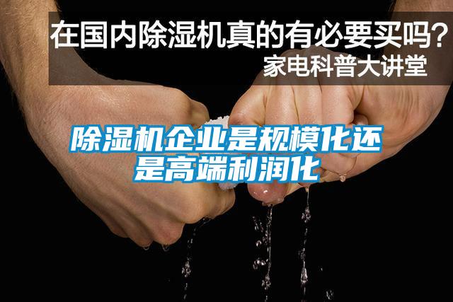 除濕機(jī)企業(yè)是規(guī)?；€是高端利潤(rùn)化