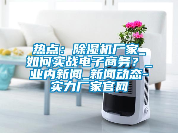 熱點：除濕機廠家_如何實戰(zhàn)電子商務(wù)？_業(yè)內(nèi)新聞_新聞動態(tài)-實力廠家官網(wǎng)