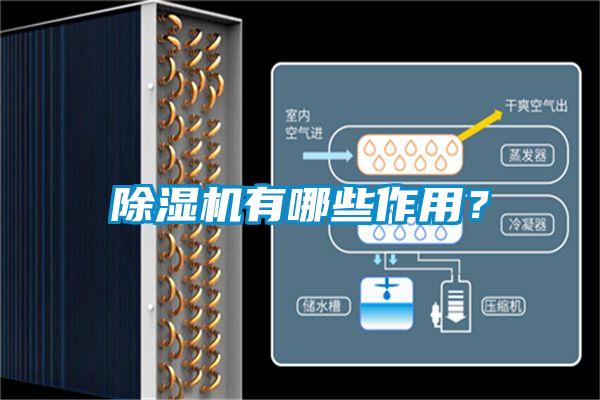 除濕機有哪些作用？