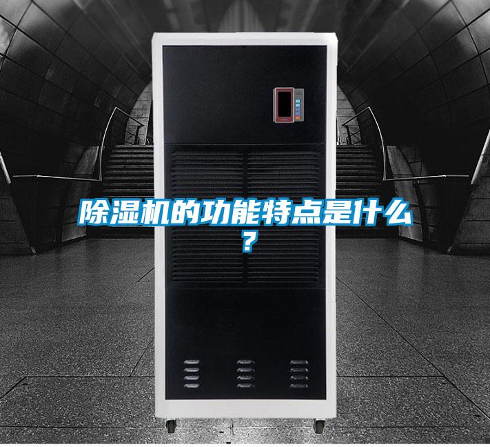 除濕機(jī)的功能特點(diǎn)是什么？