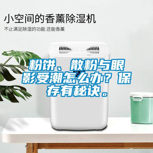 粉餅、散粉與眼影受潮怎么辦？保存有秘訣。