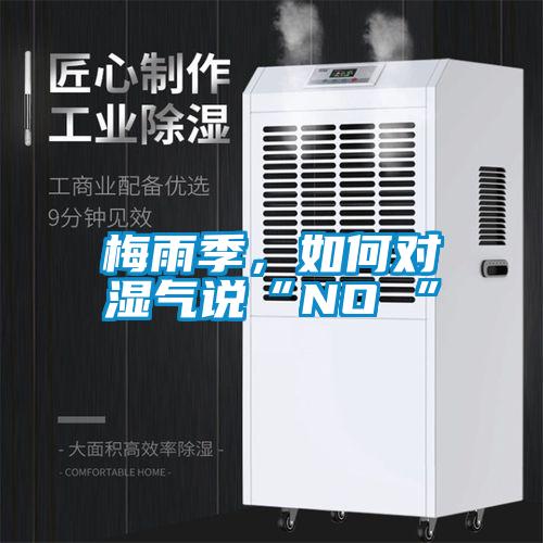 梅雨季，如何對濕氣說“NO ”