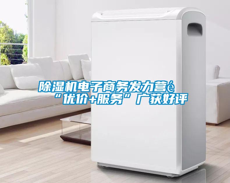 除濕機電子商務發(fā)力營銷“優(yōu)價+服務”廣獲好評