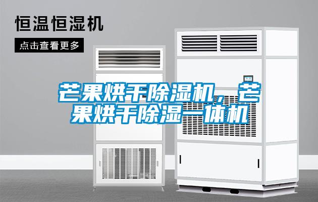 芒果烘干除濕機，芒果烘干除濕一體機