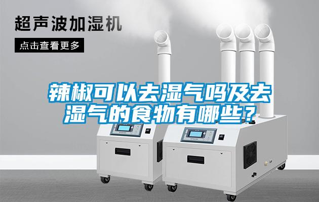 辣椒可以去濕氣嗎及去濕氣的食物有哪些？