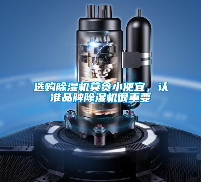 選購除濕機(jī)莫貪小便宜，認(rèn)準(zhǔn)品牌除濕機(jī)很重要