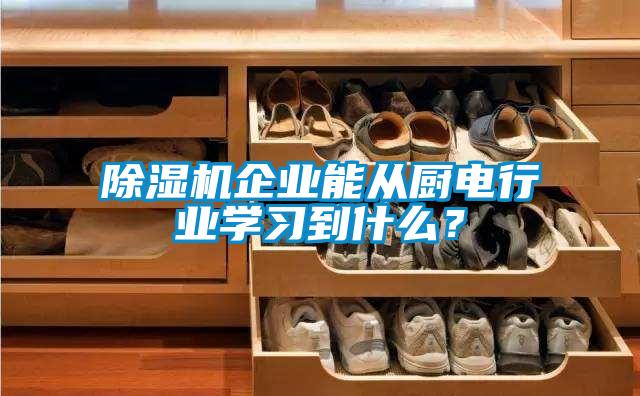 除濕機企業(yè)能從廚電行業(yè)學習到什么？