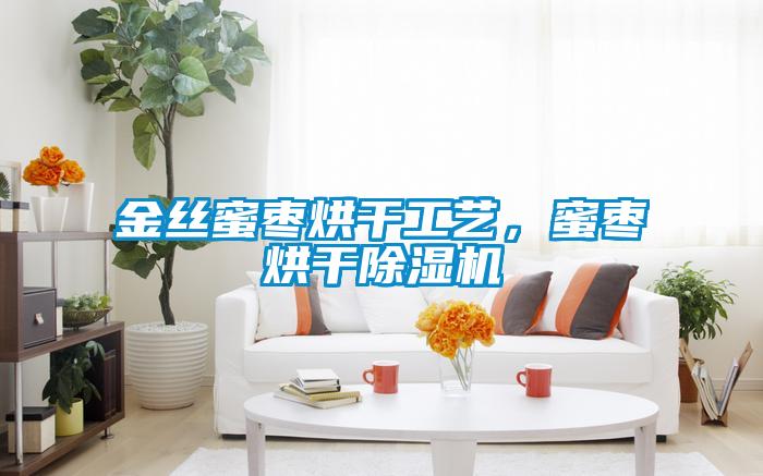 金絲蜜棗烘干工藝，蜜棗烘干除濕機