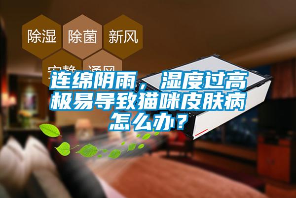 連綿陰雨，濕度過高極易導(dǎo)致貓咪皮膚病怎么辦？
