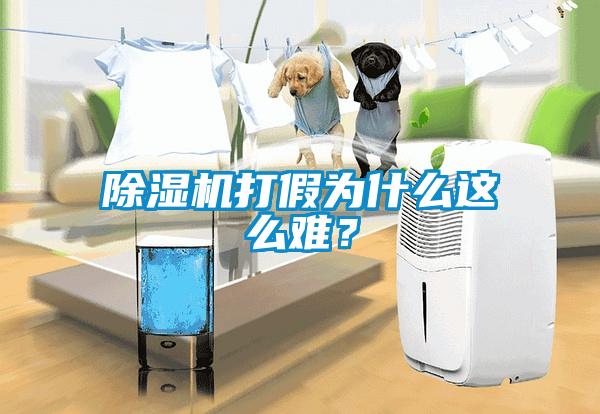 除濕機(jī)打假為什么這么難？