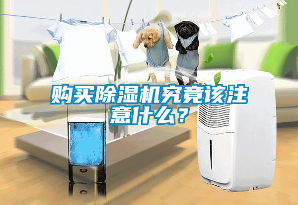 購(gòu)買(mǎi)除濕機(jī)究竟該注意什么？