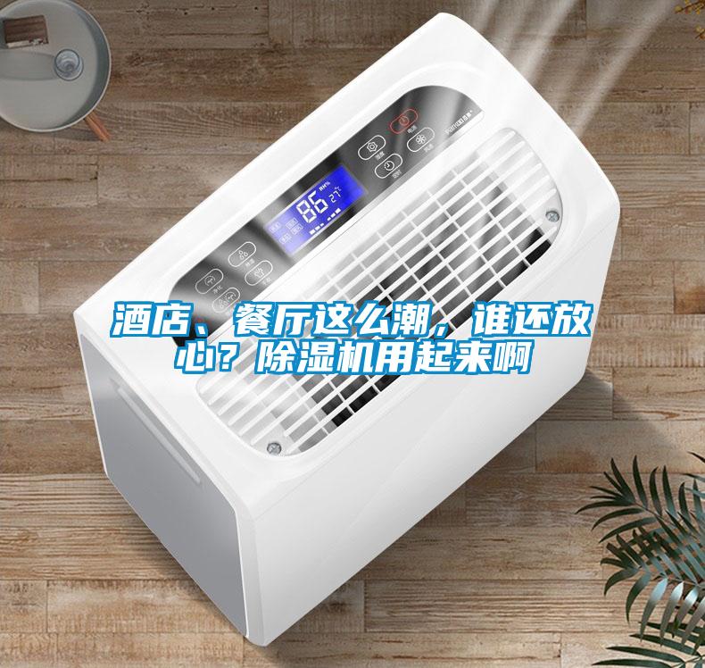 酒店、餐廳這么潮，誰(shuí)還放心？除濕機(jī)用起來(lái)啊