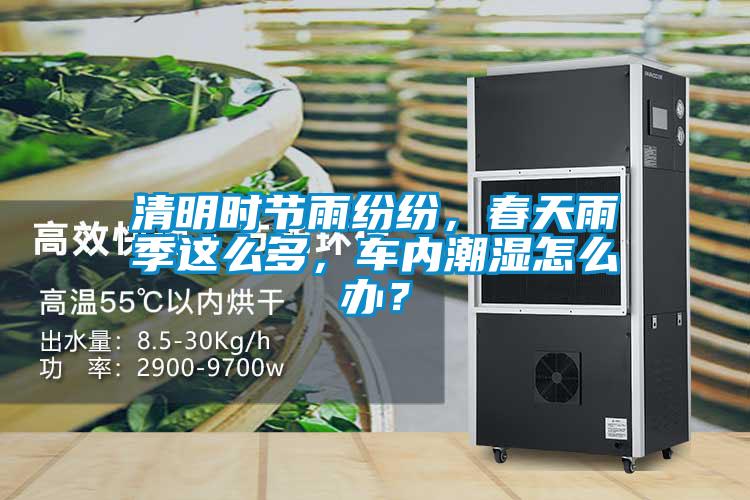 清明時節(jié)雨紛紛，春天雨季這么多，車內(nèi)潮濕怎么辦？