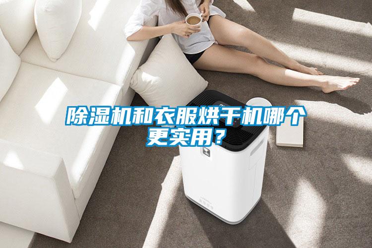 除濕機(jī)和衣服烘干機(jī)哪個(gè)更實(shí)用？