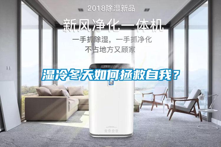 濕冷冬天如何拯救自我？