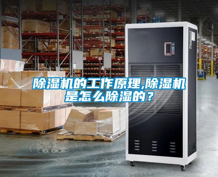 除濕機的工作原理,除濕機是怎么除濕的？