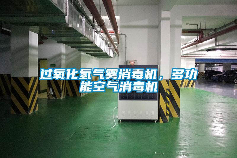 過(guò)氧化氫氣霧消毒機(jī)，多功能空氣消毒機(jī)