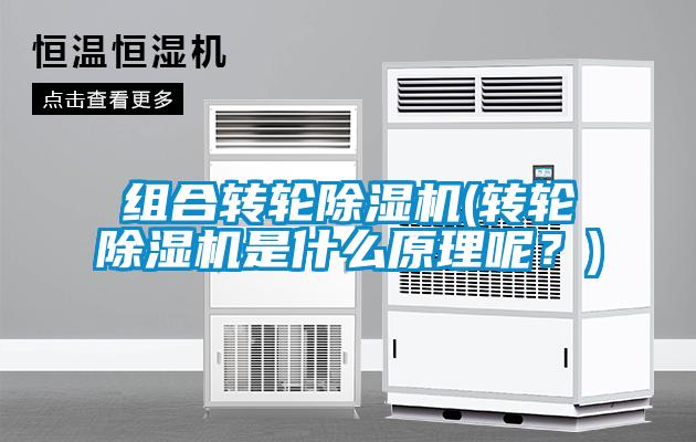 組合轉輪除濕機(轉輪除濕機是什么原理呢？)