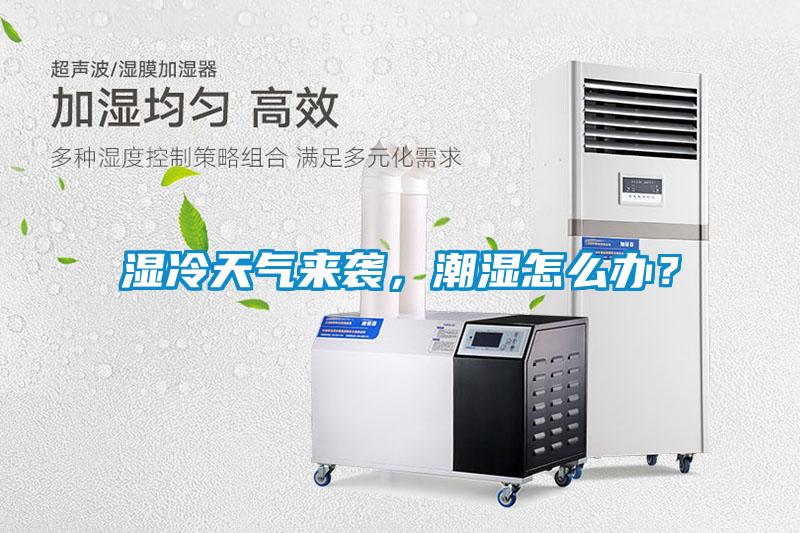 濕冷天氣來襲，潮濕怎么辦？