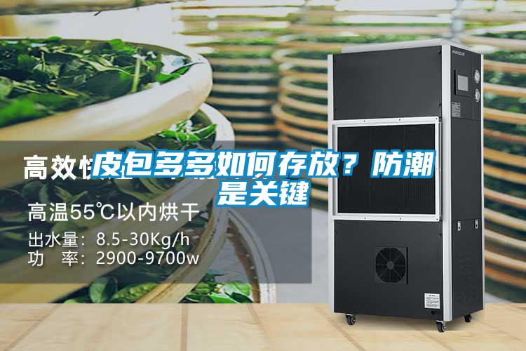 皮包多多如何存放？防潮是關(guān)鍵