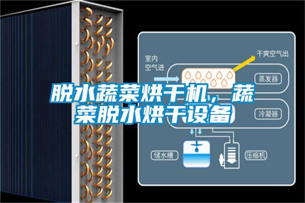脫水蔬菜烘干機(jī)，蔬菜脫水烘干設(shè)備