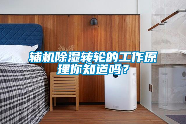 輔機除濕轉(zhuǎn)輪的工作原理你知道嗎？