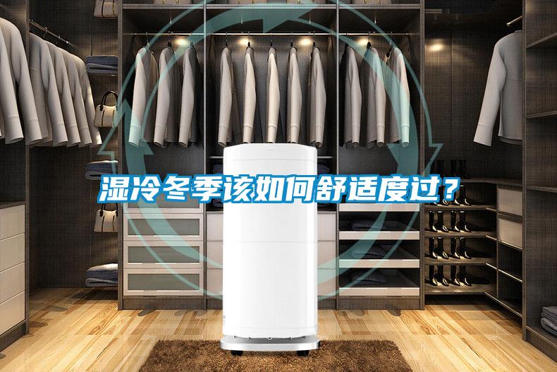 濕冷冬季該如何舒適度過？