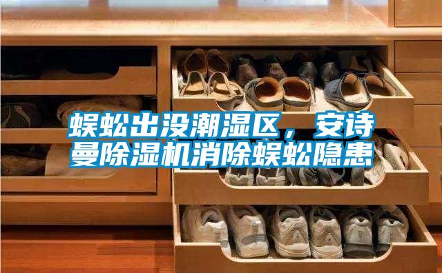 蜈蚣出沒潮濕區(qū)，安詩曼除濕機消除蜈蚣隱患