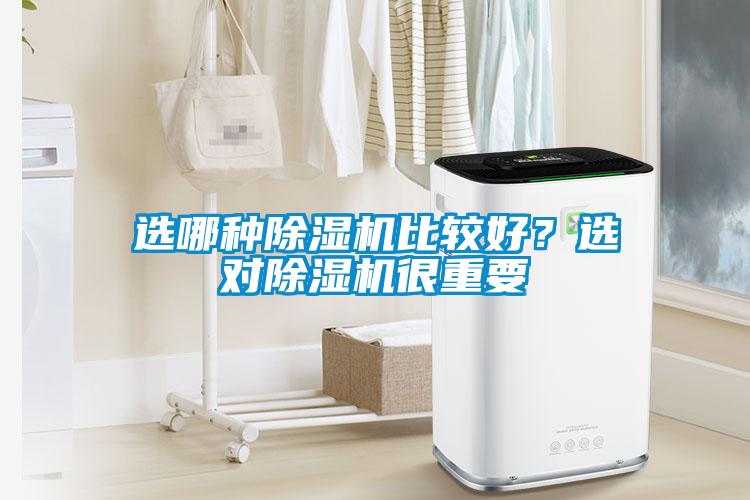 選哪種除濕機比較好？選對除濕機很重要