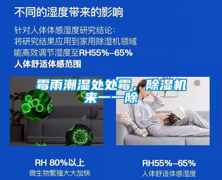霉雨潮濕處處霉，除濕機(jī)來(lái)一一除