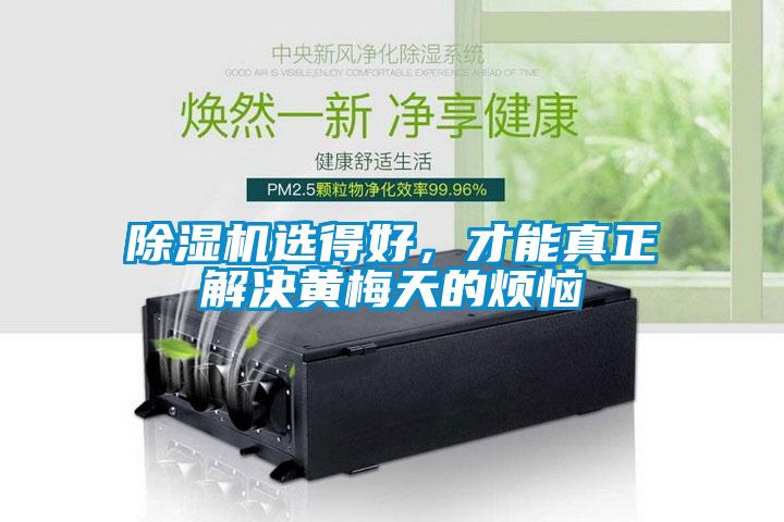 除濕機(jī)選得好，才能真正解決黃梅天的煩惱