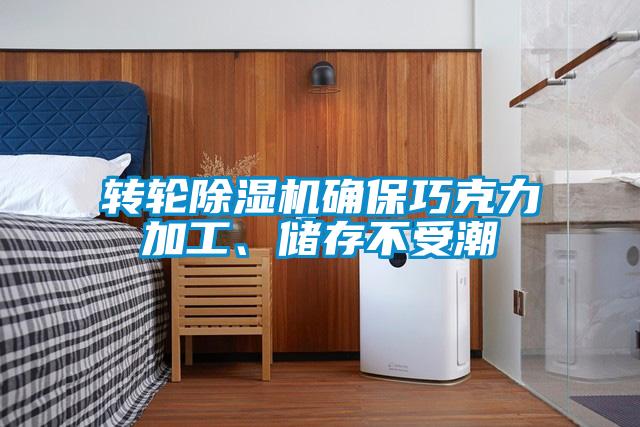 轉(zhuǎn)輪除濕機(jī)確保巧克力加工、儲存不受潮