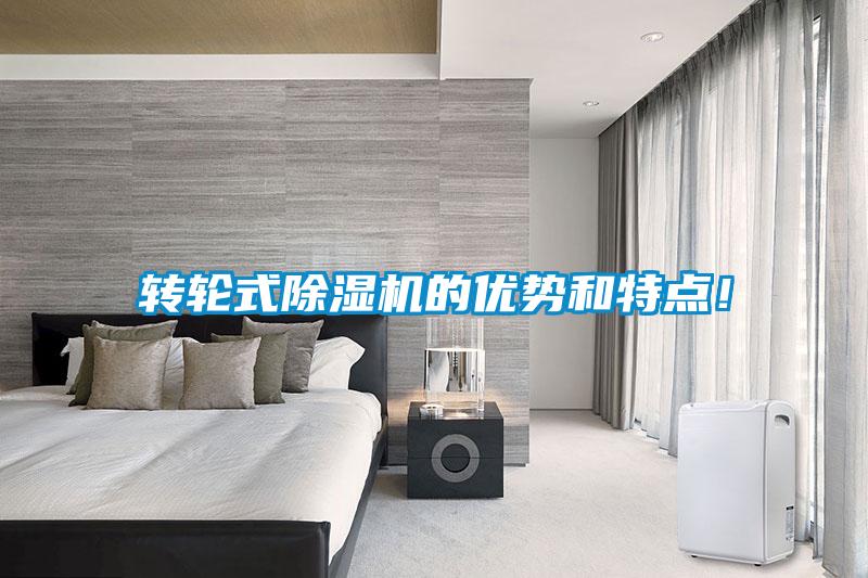 轉(zhuǎn)輪式除濕機(jī)的優(yōu)勢(shì)和特點(diǎn)！