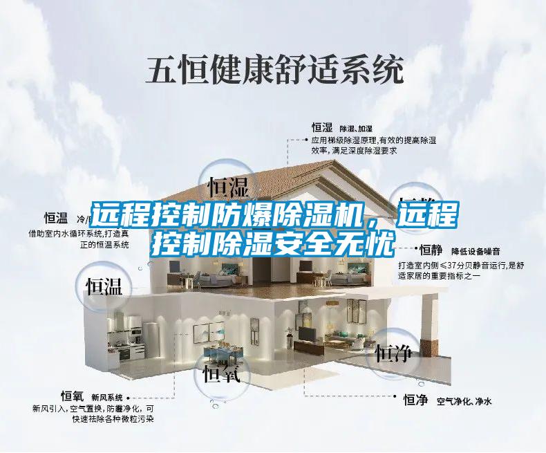 遠程控制防爆除濕機，遠程控制除濕安全無憂