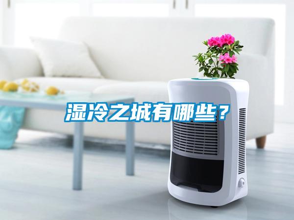濕冷之城有哪些？