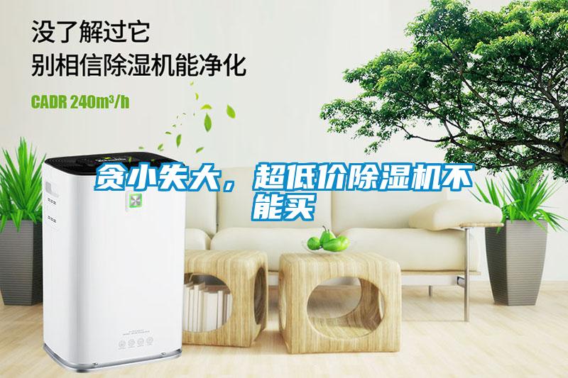 貪小失大，超低價除濕機不能買
