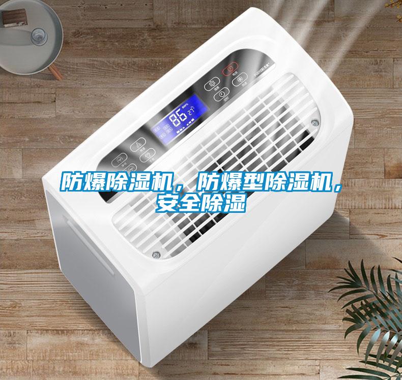 防爆除濕機，防爆型除濕機，安全除濕