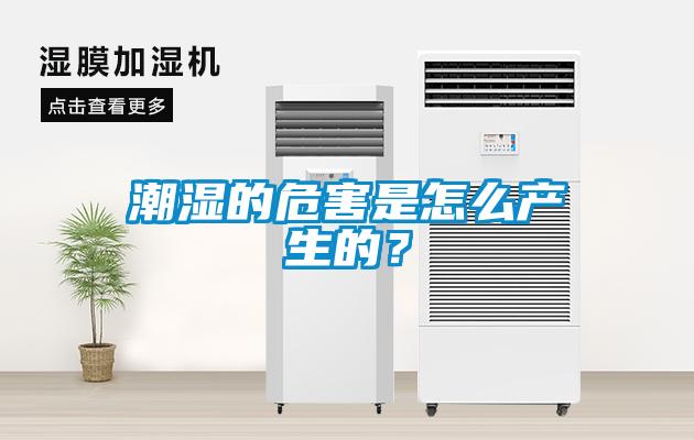 潮濕的危害是怎么產(chǎn)生的？