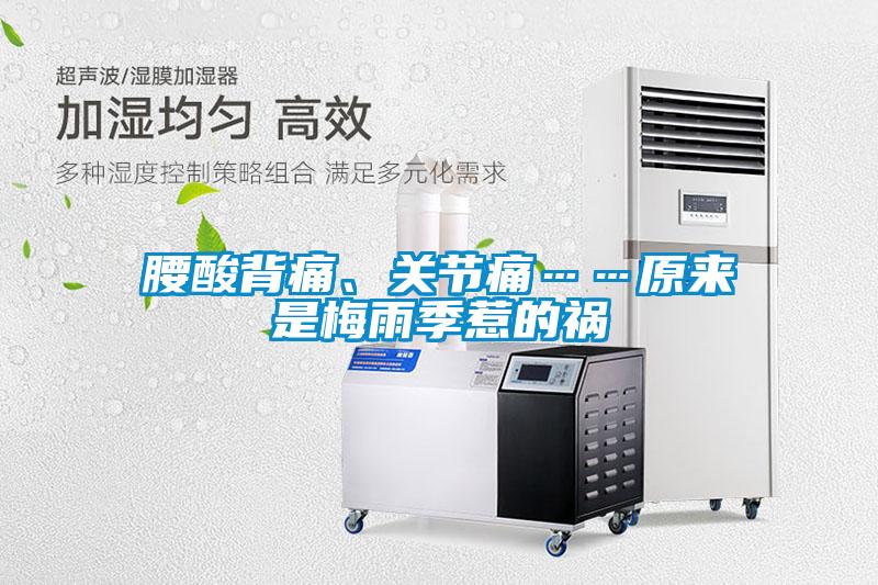 腰酸背痛、關(guān)節(jié)痛……原來(lái)是梅雨季惹的禍