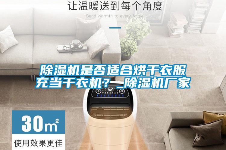 除濕機(jī)是否適合烘干衣服充當(dāng)干衣機(jī)？_除濕機(jī)廠家