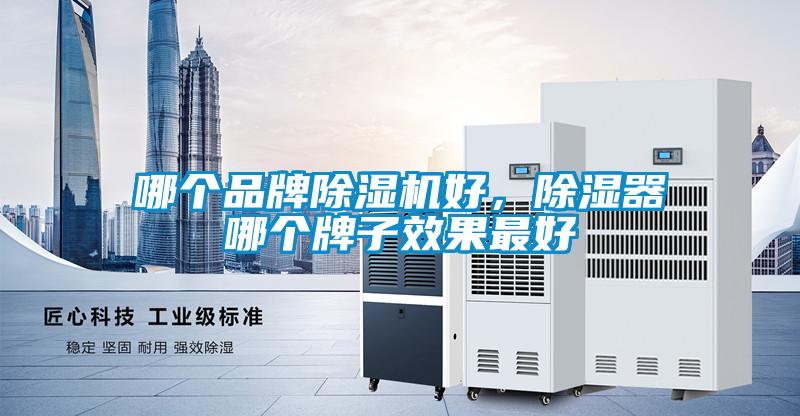 哪個(gè)品牌除濕機(jī)好，除濕器哪個(gè)牌子效果最好