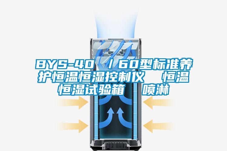 BYS-40 ／60型標(biāo)準(zhǔn)養(yǎng)護恒溫恒濕控制儀  恒溫恒濕試驗箱  噴淋