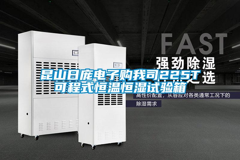 昆山日龐電子購我司225T可程式恒溫恒濕試驗(yàn)箱