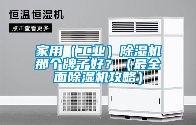 家用（工業(yè)）除濕機(jī)那個牌子好？（最全面除濕機(jī)攻略）