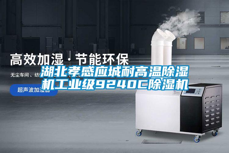 湖北孝感應城耐高溫除濕機工業(yè)級9240C除濕機