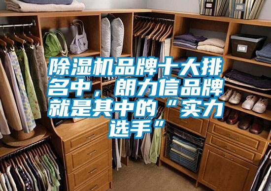 除濕機品牌十大排名中，朗力信品牌就是其中的“實力選手”