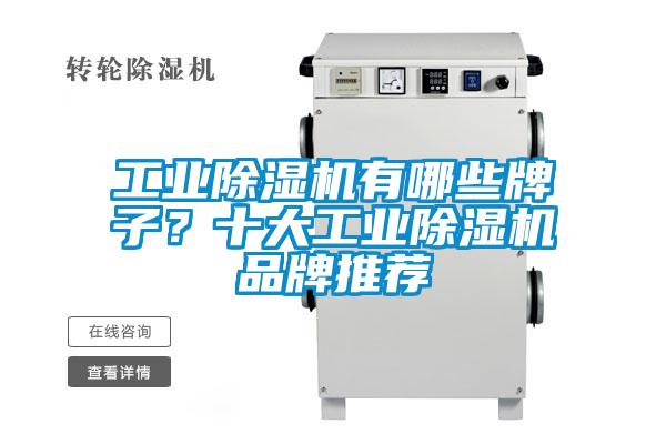 工業(yè)除濕機(jī)有哪些牌子？十大工業(yè)除濕機(jī)品牌推薦
