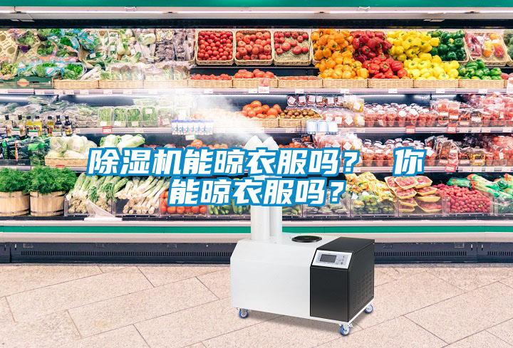 除濕機(jī)能晾衣服嗎？ 你能晾衣服嗎？