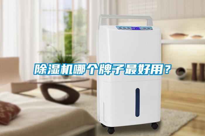除濕機(jī)哪個(gè)牌子最好用？